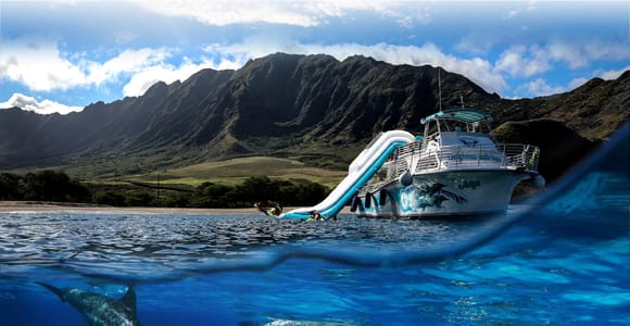 Oahu: Dolphin Watching & Turtle Snorkeling with Waterslide