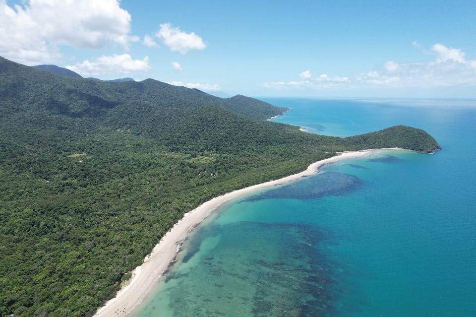 Daintree Lower Daintree Crocodile & Wildlife Cruise GetYourGuide