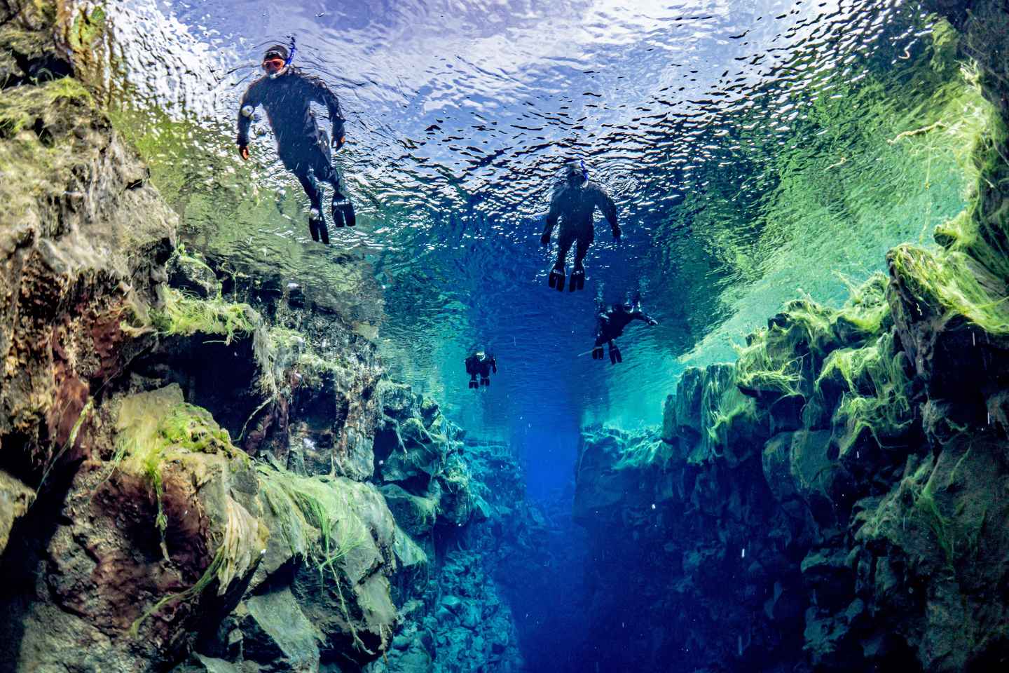 Silfra: Snorkel Between Continents. Free Professional Photos