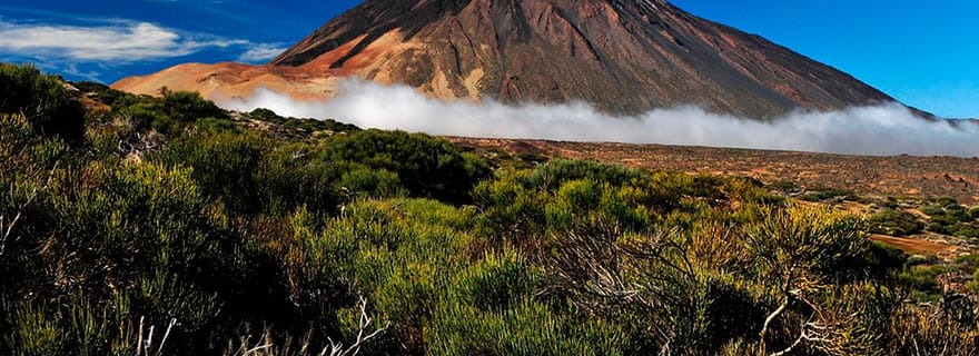 Tenerife : Excursion privée d'une journée avec prise en charge et retour à l'hôtel