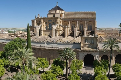 Prywatna wycieczka: wycieczka do meczetu w Kordobie i katedry
