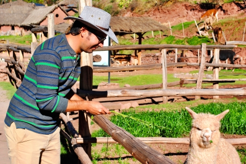 Prywatna wycieczka do Pisac Inca i Pisac Colonial + Alpaca FarmPrywatna wycieczka do Pisac + Alpaca Farm: All Inclusive