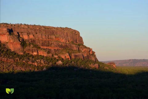 From Darwin: 2-Day Kakadu Tour with Hotel, Cruise & Rock Art