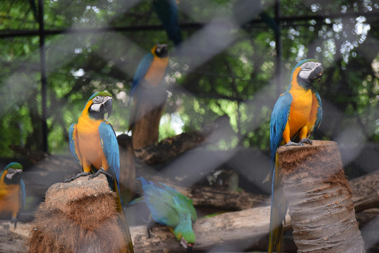 Bangkok Safari &amp; Marine ParkPark safari i morski w Bangkoku