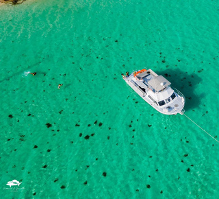 Snorkeling in Culebra