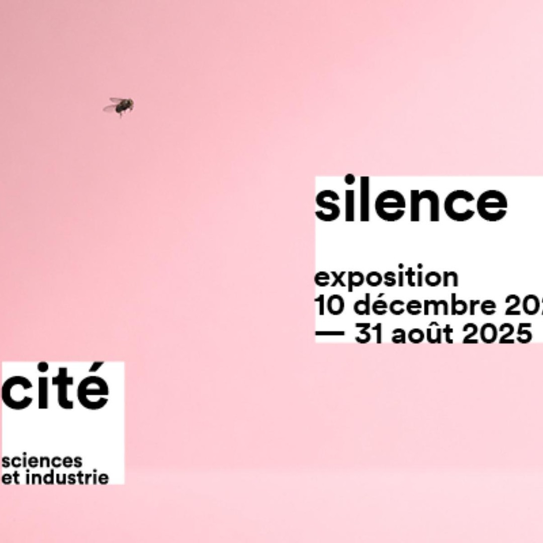 Galerie média