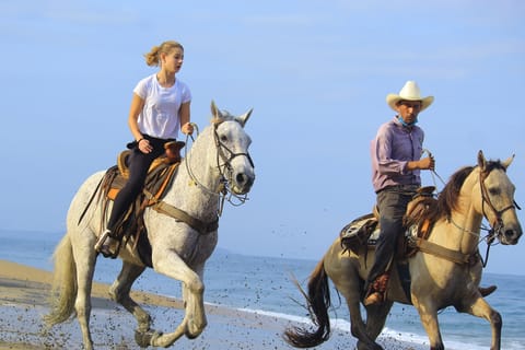 NEW!!Sayulita: Jungle & Beach Horseback Riding, with Tequila