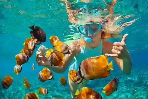 Zanzibar: Snorkeling at blue lagoon & Star fish tour