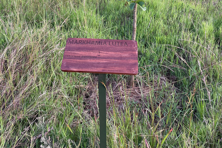 Kigali: City Tour, Nyandungu Eco Park, and Lunch