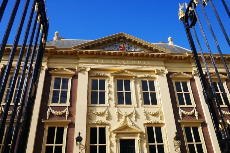Bezoek met een privé sightseeingtour Den Haag en Delft