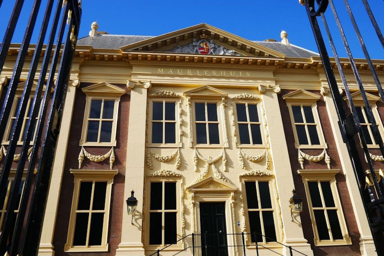 Från Amsterdam: Privatresa till Haag och inträde till MauritshuisFrån Amsterdam: Privat rundtur i Haag och inträde till Mauritshuis