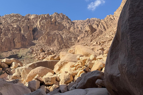Hurghada: Mount Shaib El Banat Tour with Sandboarding Sand boarding and hiking & camel ride