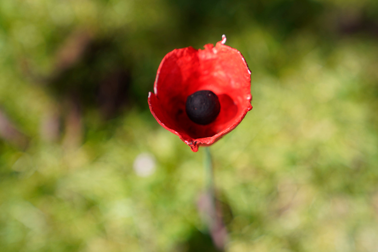 Normandy D-Day Beaches Private Canadian Sector from Caen