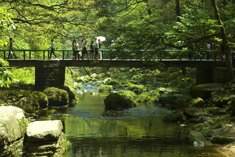 Zhangjiajie Avatar & Tianmen Day Trip Beat Heat & Crowds