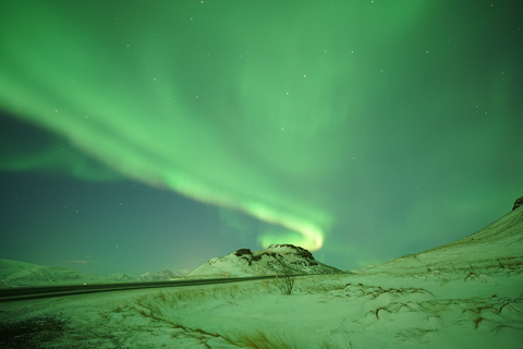 Reykjavik: Northern Lights Minibus Tour with Hot Chocolate