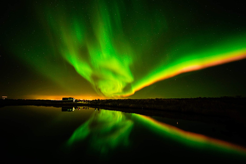 Reykjavik: Excursão de microônibus pela aurora boreal com chocolate quente