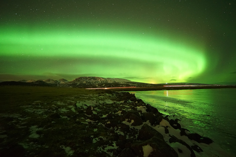 Reykjavik: Excursão de microônibus pela aurora boreal com chocolate quente