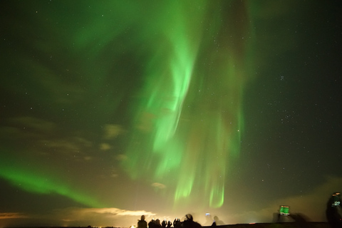 Reykjavik: Minibús en grupo pequeño Northern Lights