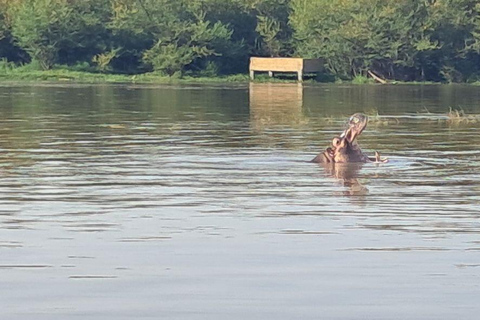 Addis Ababa: 6-Day Abijata Shalla NP & Bale Mountains Tour