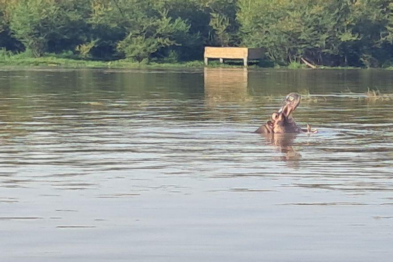 Addis Ababa: 6-Day Abijata Shalla NP & Bale Mountains Tour