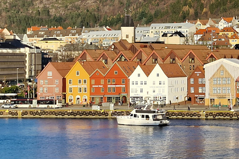 From Bergen: Private Mostraumen Fjord Cruise