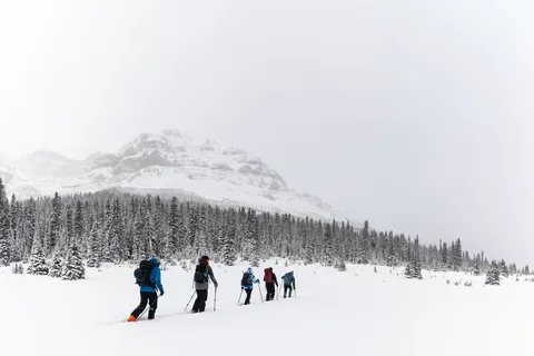 Banff: AST 1 - Avalanche Skills Training Level 1