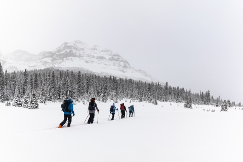 Banff: 2-daagse niveau 1 lawinevaardigheidscursus en certificaatPrivé optie