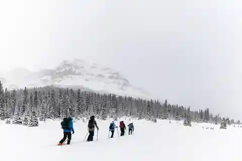 Banff: AST 1 - Avalanche Skills Training Level 1
