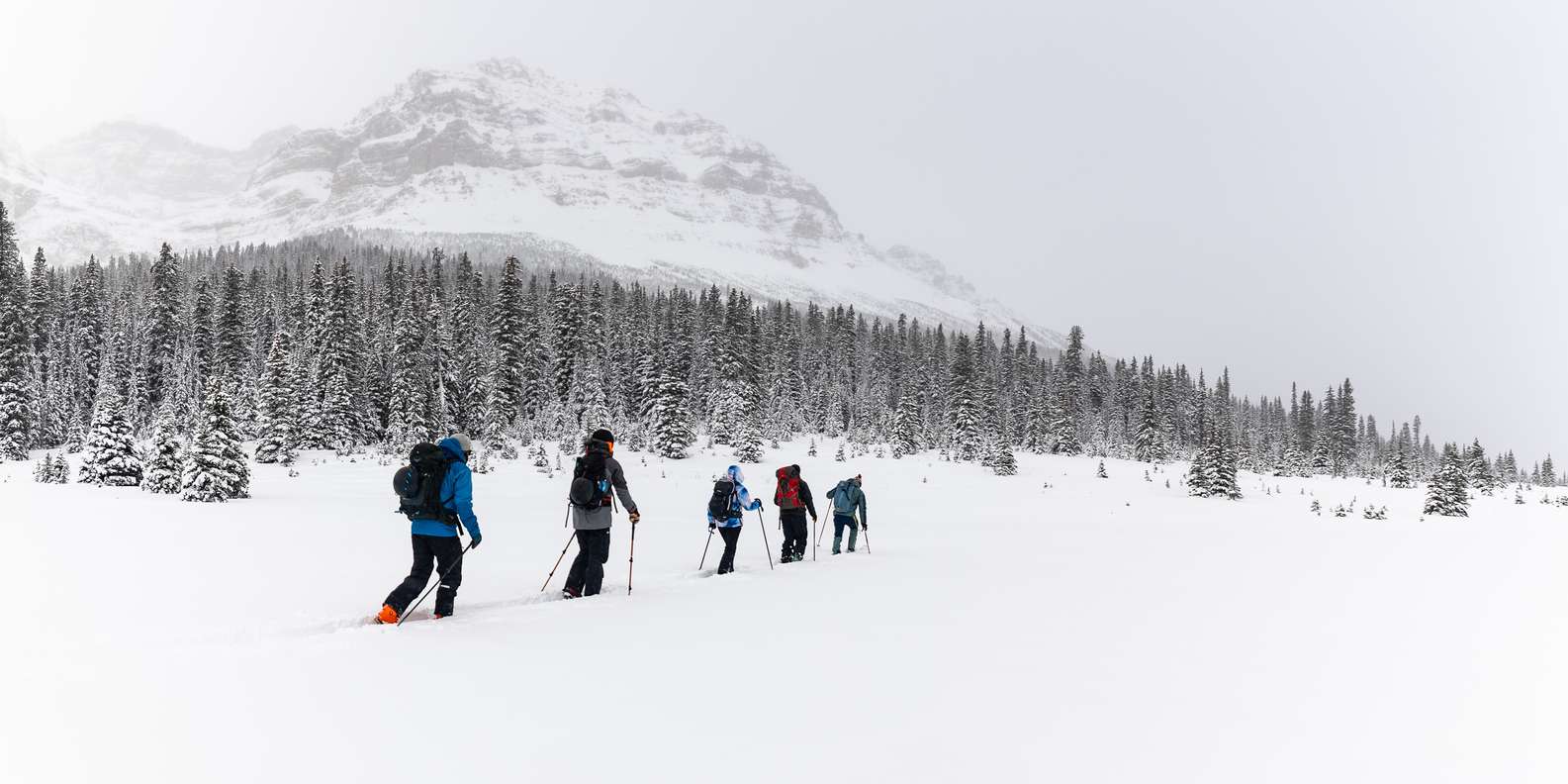 Backcountry Skiing Course For Beginners - Yamnuska