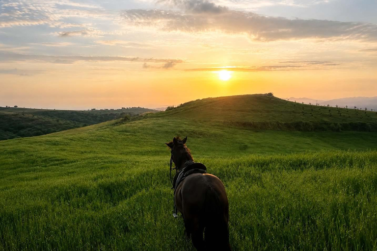 Ride Through Nature – Horse Tour Near Tirana & Durres