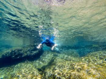 San Terenzo: Portovenere Natural Park Snorkeling Trip