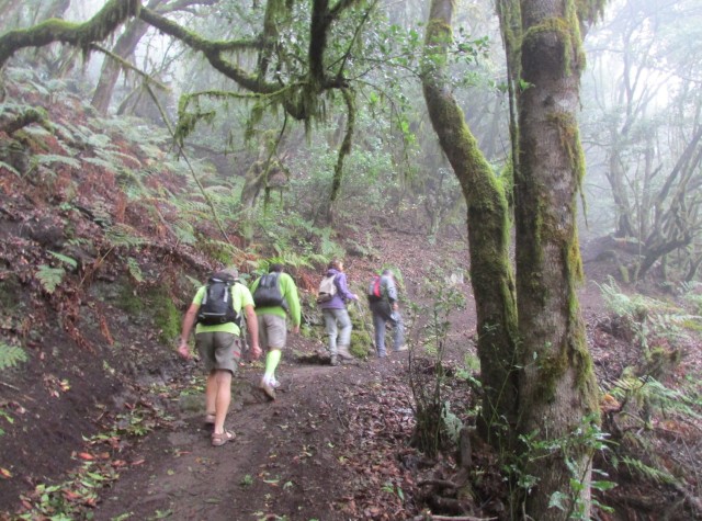 Visit La Gomera Hamlets of the North Hiking Route Tour in La Gomera