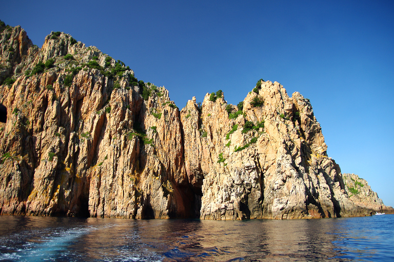 Depuis Porto : Les criques de Piana, Scandola en bateau familialAu départ de Porto : Les criques de Piana, Scandola et Girolata en bateau rapide