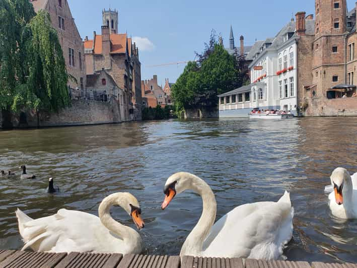 Bruges: Boat Cruise And Guided Walking Tour | GetYourGuide