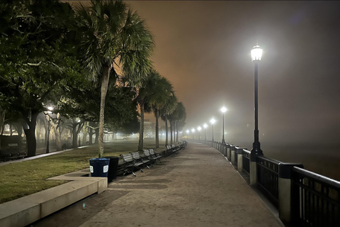 Charleston: begeleide wandeling door geschiedenis en architectuur