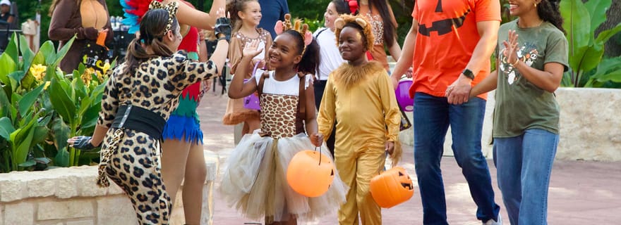 San Antonio : San Antonio Zoo Any Day Ticket