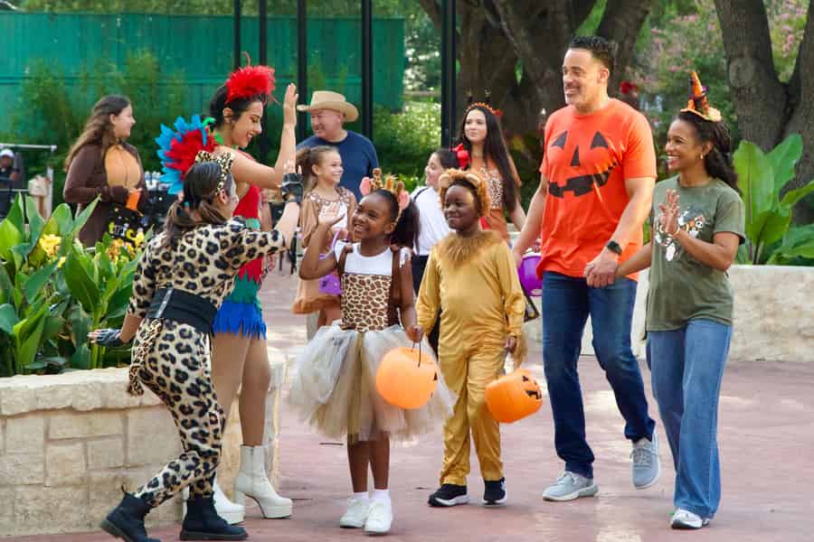 San Antonio: San Antonio Zoo Jedes Tagesticket. Foto: GetYourGuide San Antonio: San Antonio Zoo Jedes Tagesticket. Foto: GetYourGuide