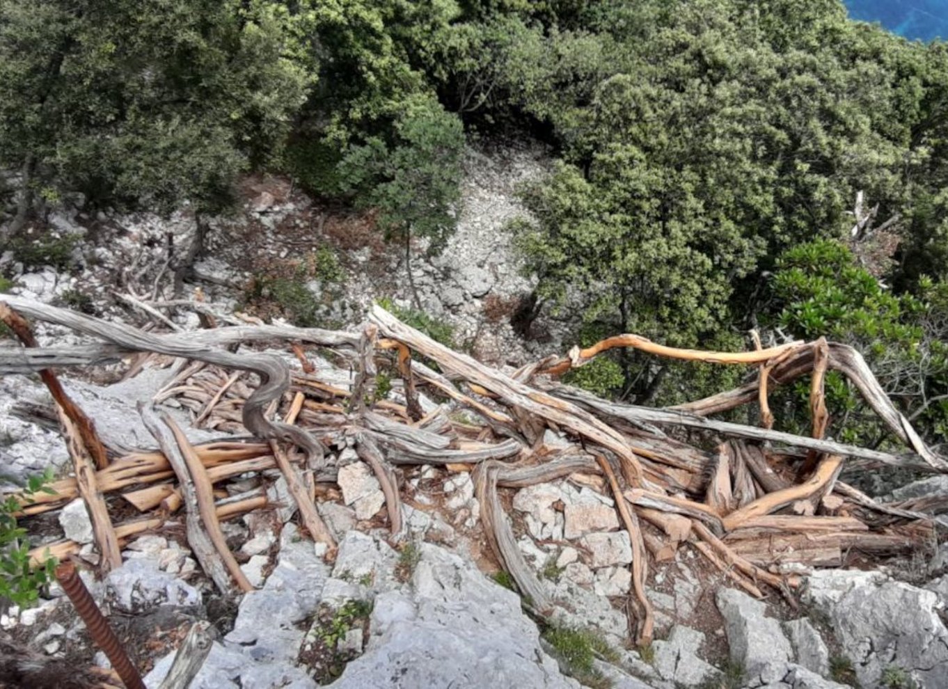 Fra Baunei: Vandretur til Cala Mariolu