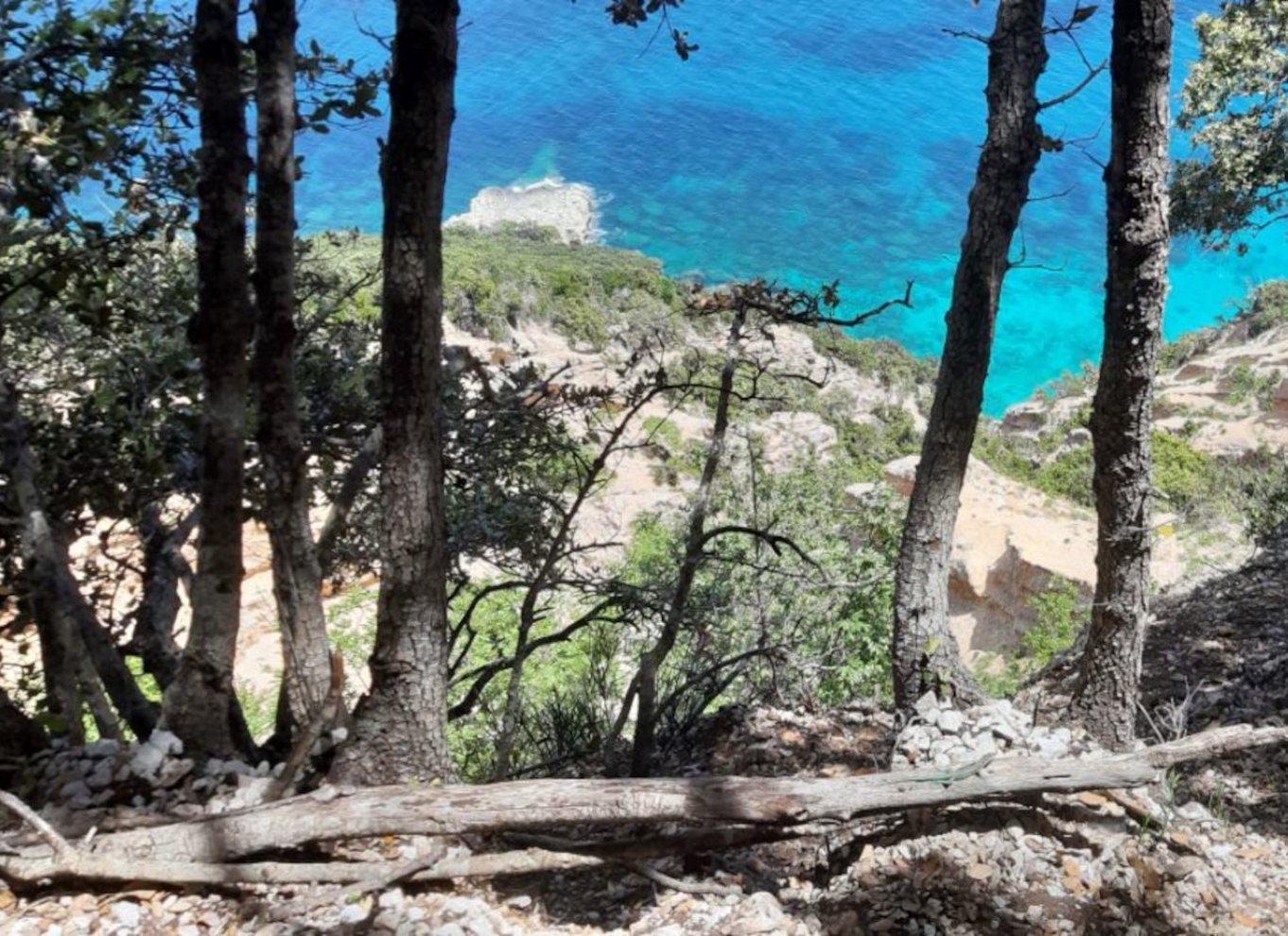 Fra Baunei: Vandretur til Cala Mariolu