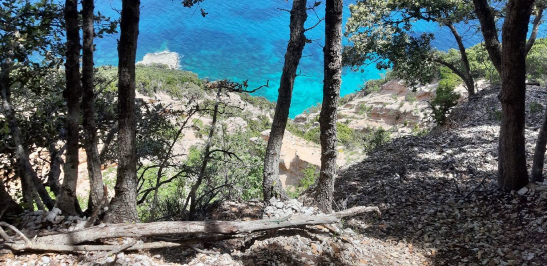 Von Baunei aus: Cala Mariolu Wandertour
