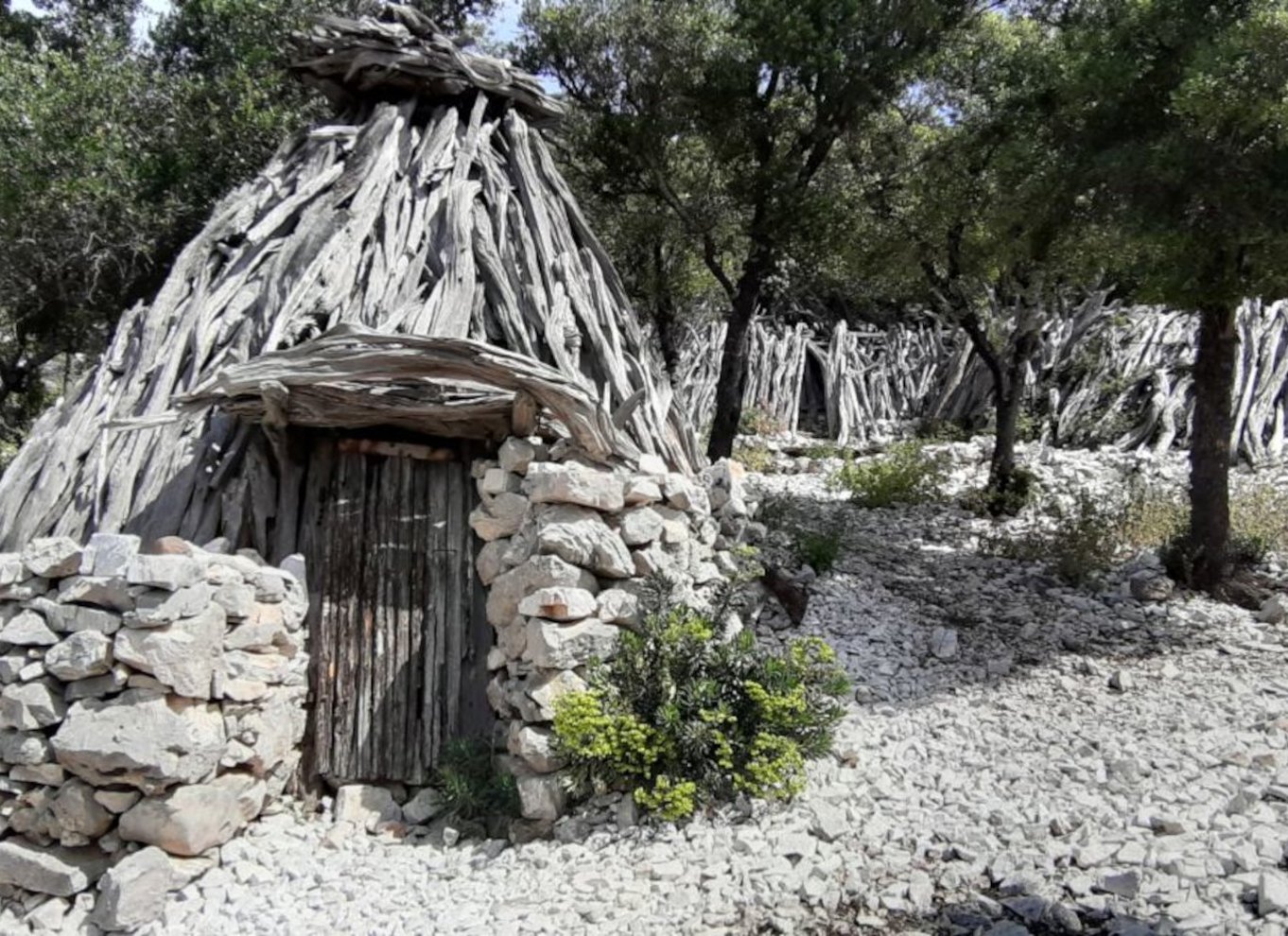 Fra Baunei: Vandretur til Cala Mariolu