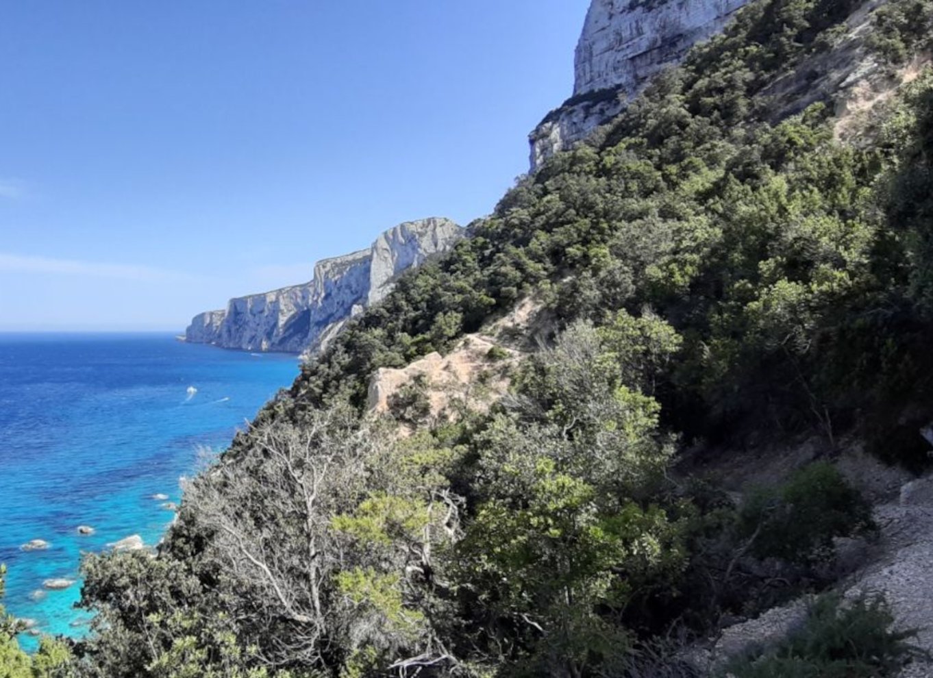 Fra Baunei: Vandretur til Cala Mariolu