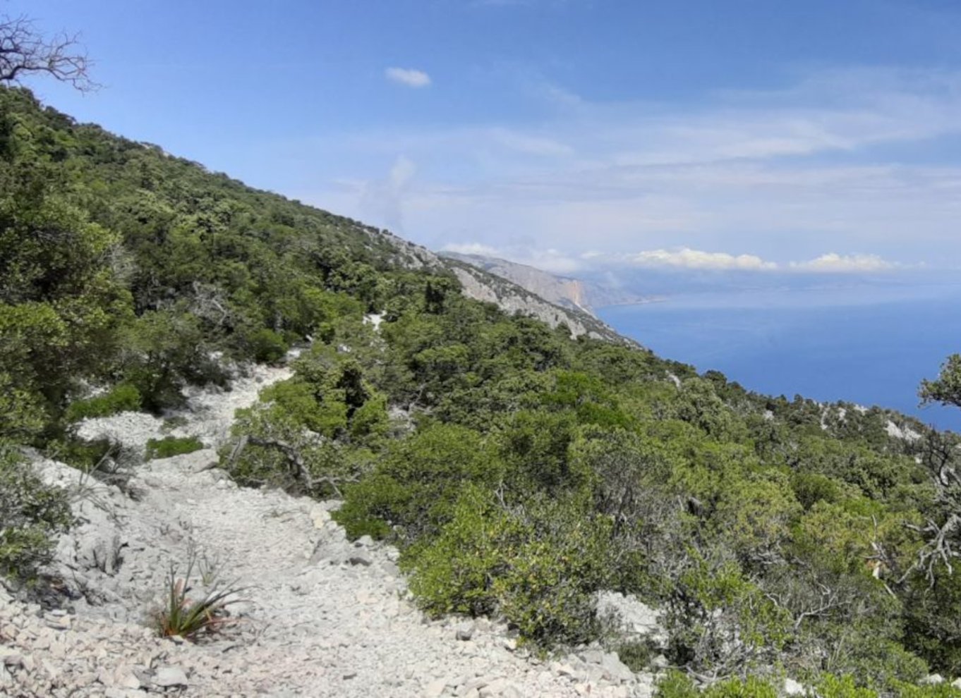 Fra Baunei: Vandretur til Cala Mariolu