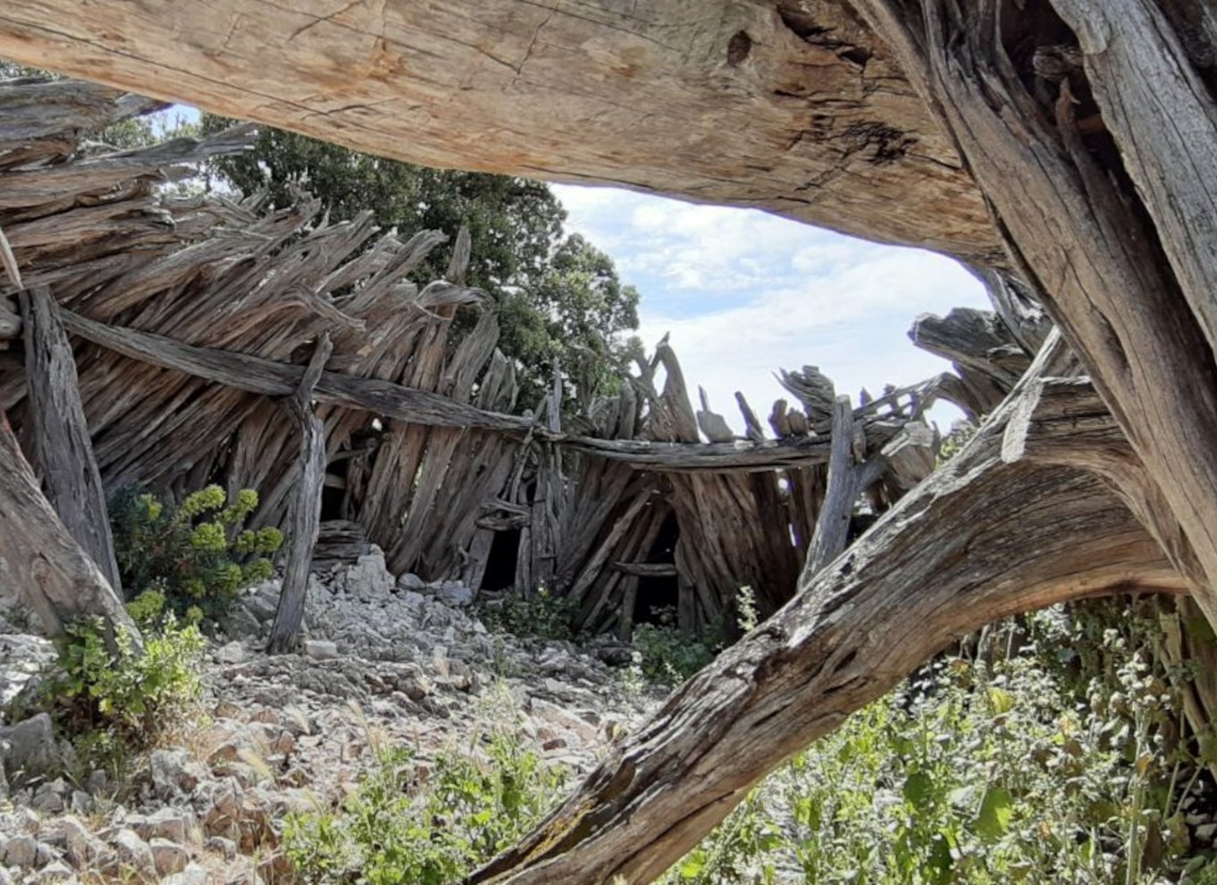 Fra Baunei: Vandretur til Cala Mariolu