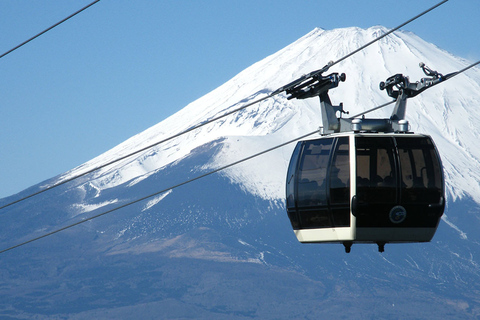 Da Tokyo: Crociera ad Hakone ed escursione di un giorno alla quinta stazione del Monte Fuji