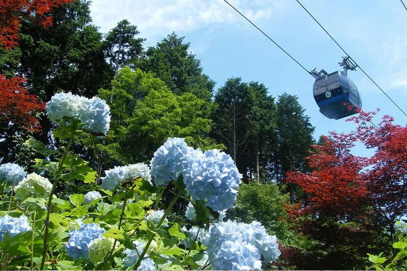 From Tokyo Guided Day Trip to Hakone, Owakudani, & Mt. Fuji GetYourGuide