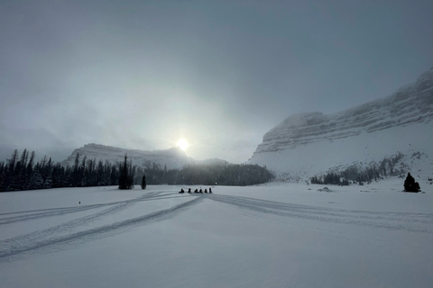 Jackson Hole: Turpin Meadow Snowmobile Tour Half-Day Morning Tour- Driver Only