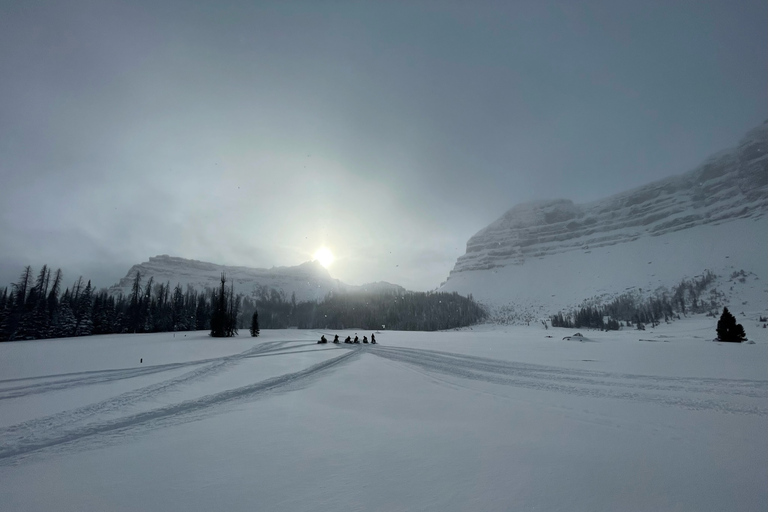 Jackson Hole: Turpin Meadow Snowmobile Tour Half-Day Morning Tour- Driver Only