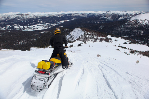 Jackson Hole: Turpin Meadow Snowmobile Tour Half-Day Morning Tour- Driver Only