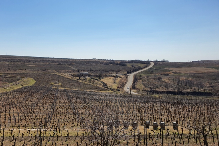 Boekarest: dagtrip naar Dealu Mare-wijngaarden met wijnproeverij